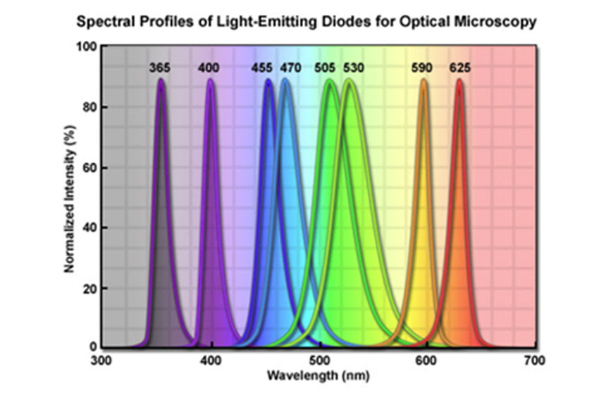 Green-Yellow Breakthrough: LED Innovation for Fluorescence Imaging