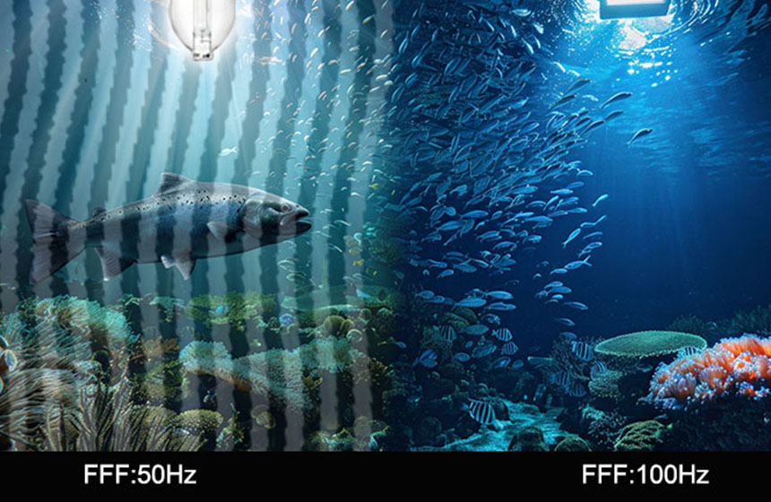 LED Lighting: The Future of Aquaculture