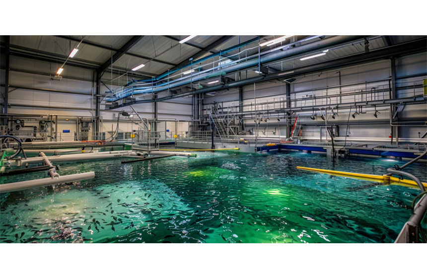 Transform Fish Farms with Advanced LED Solutions