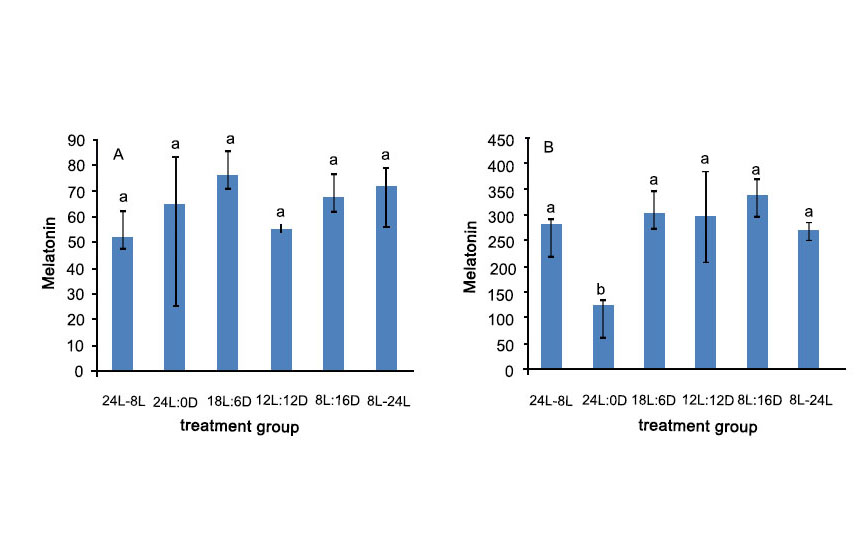 The Secret Light Codes of Atlantic Salmon: How Smart LEDs Turn Science into Profit